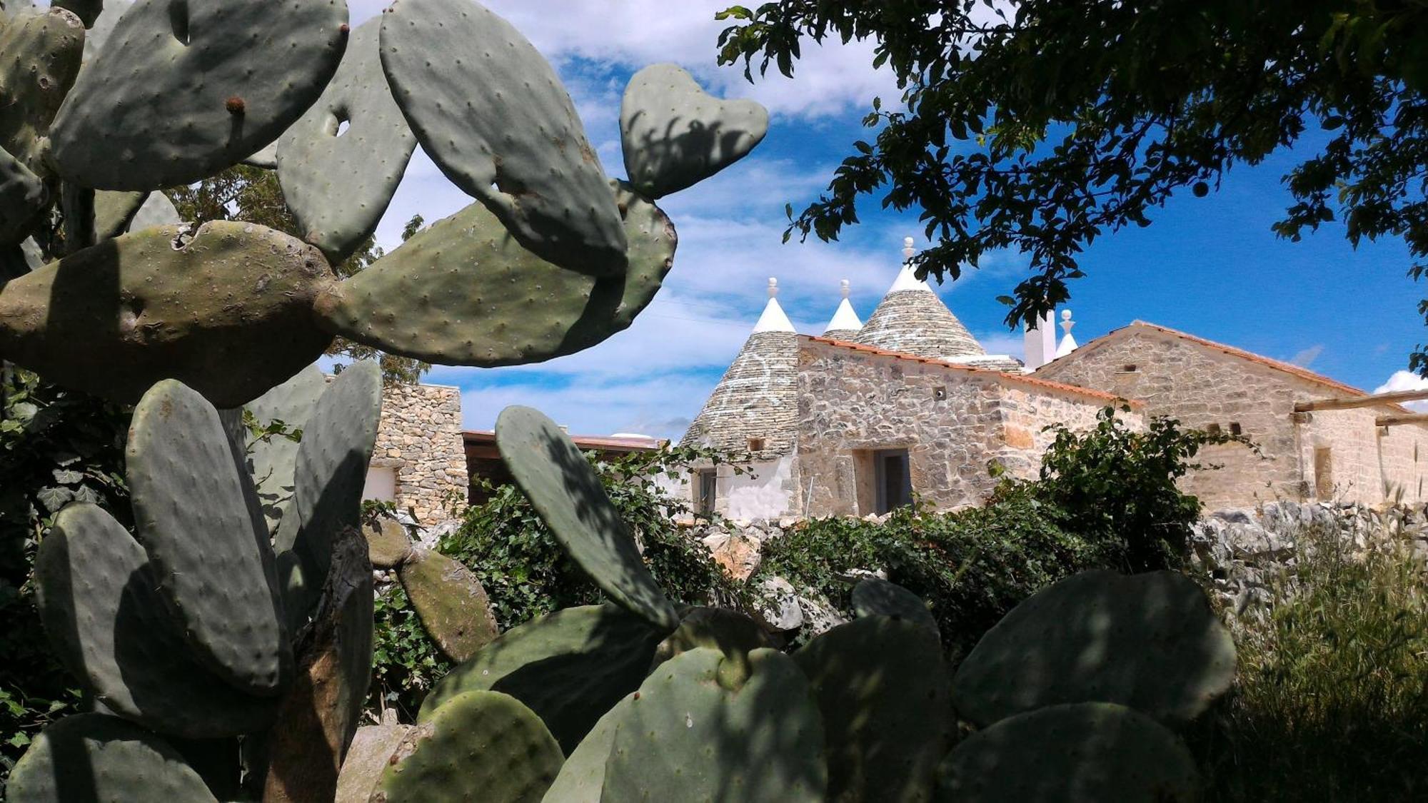 Trulli Don Diego Bed & Breakfast Noci Dış mekan fotoğraf